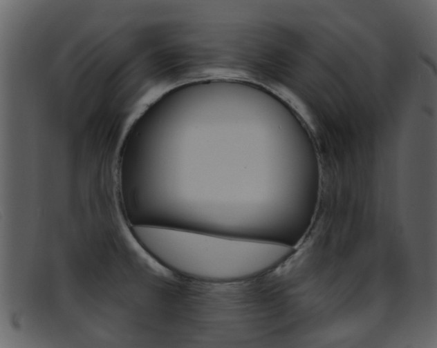 X0000096661381200802050947