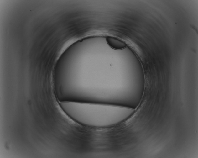 X0000096661382200802050947