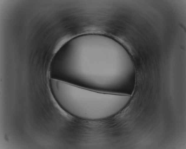 X0000096661383200802050947