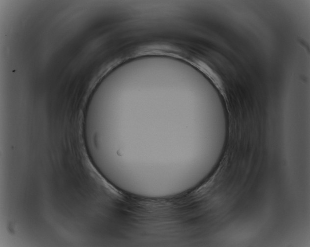 X0000096661384200802050947