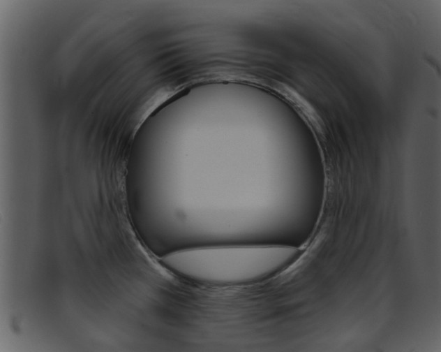 X0000096661385200802050947