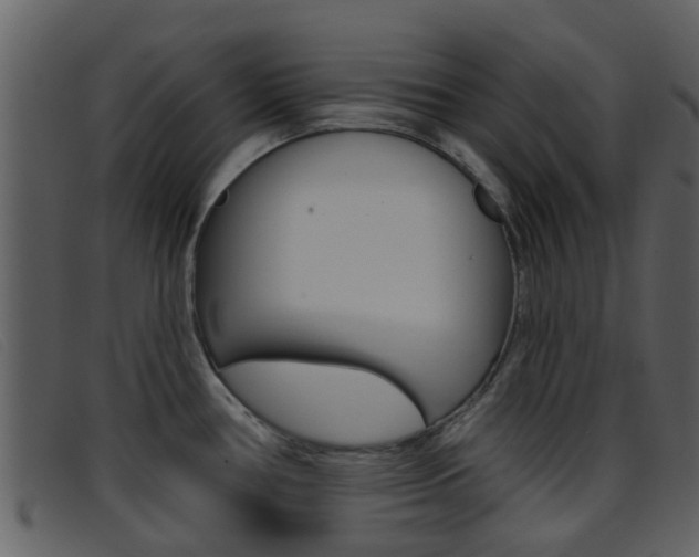 X0000096661386200802050947