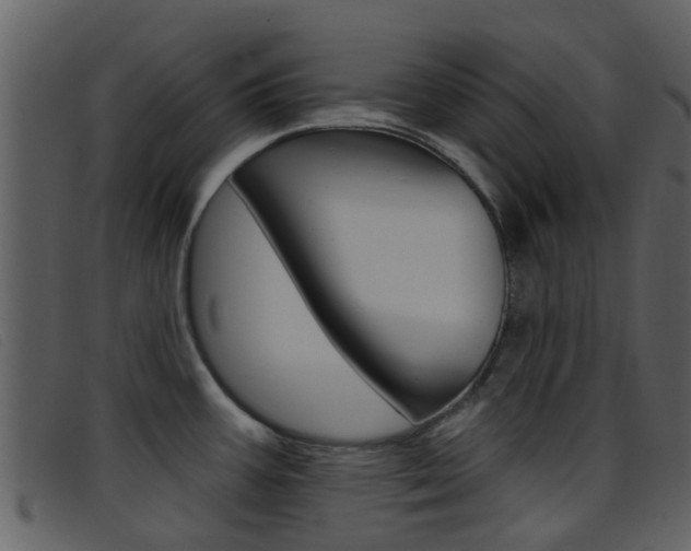 X0000096661387200802050947