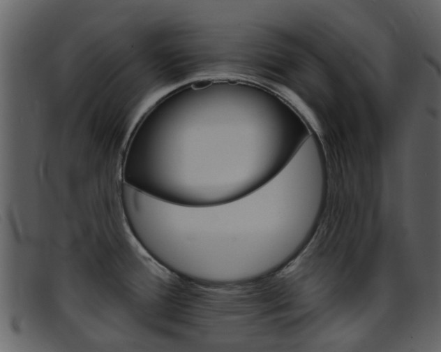 X0000096661388200802050947