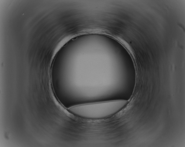 X0000096661389200802050947