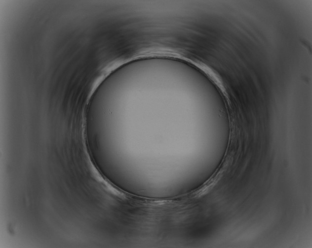 X0000096661390200802050947