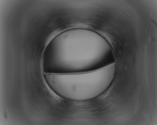 X0000096661391200802050947