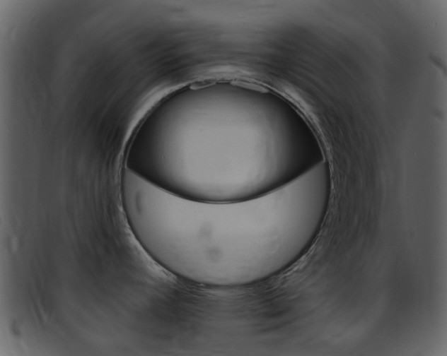 X0000096661392200802050947