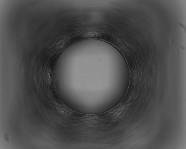 X0000096661394200802050946