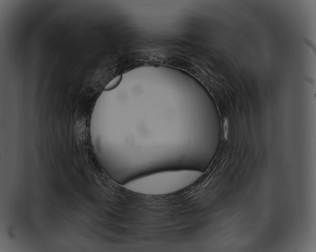 X0000096661395200802050946