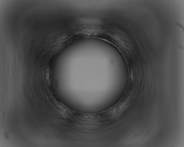 X0000096661396200802050946