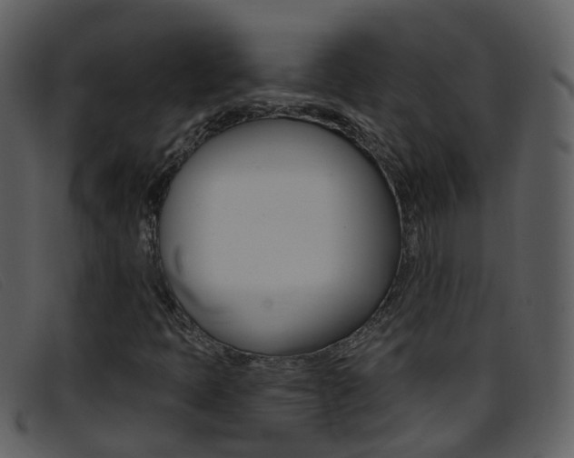 X0000096661397200802050946