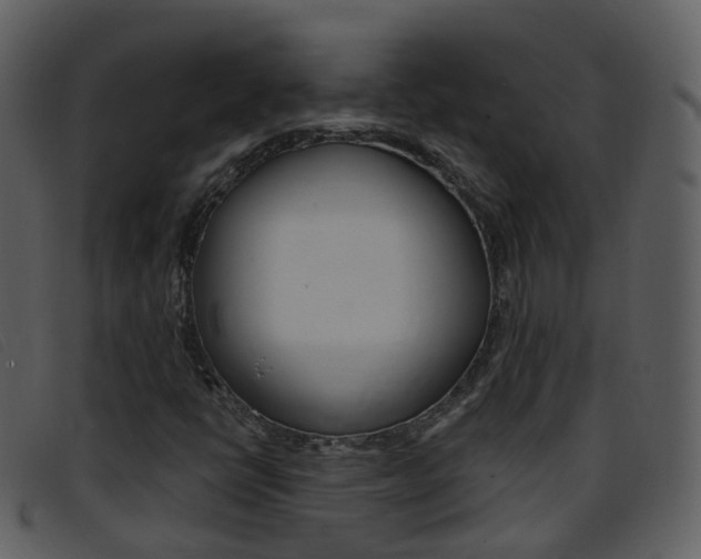 X0000096661398200802050946