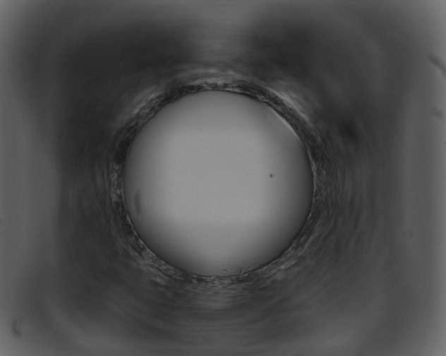 X0000096661399200802050946
