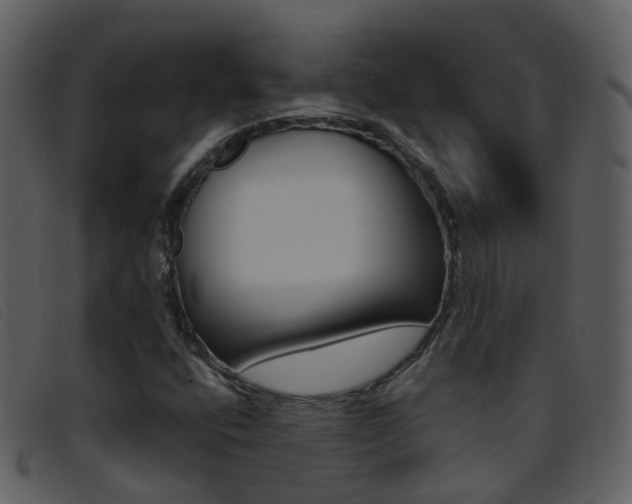 X0000096661400200802050946