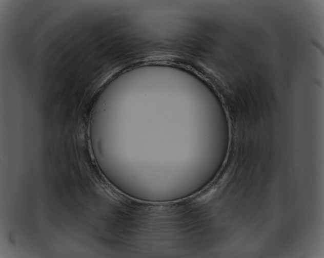 X0000096661401200802050946