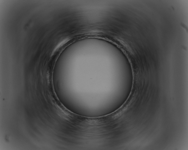 X0000096661402200802050946