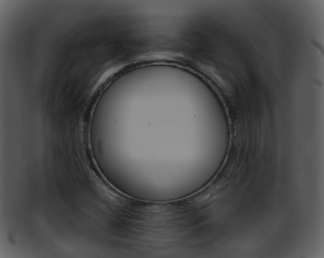 X0000096661404200802050946