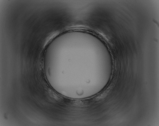 X0000096661405200802050946
