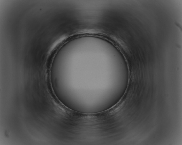 X0000096661406200802050946