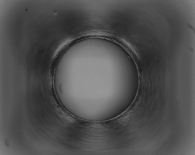 X0000096661408200802050946
