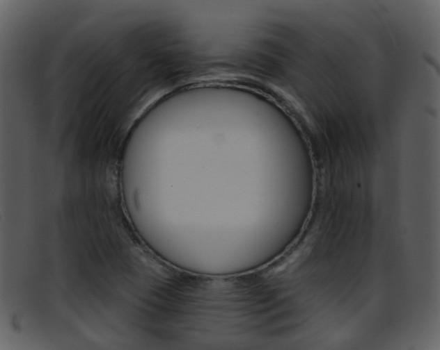 X0000096661409200802050946