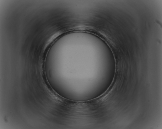X0000096661410200802050946