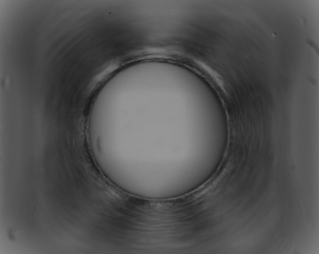 X0000096661411200802050946