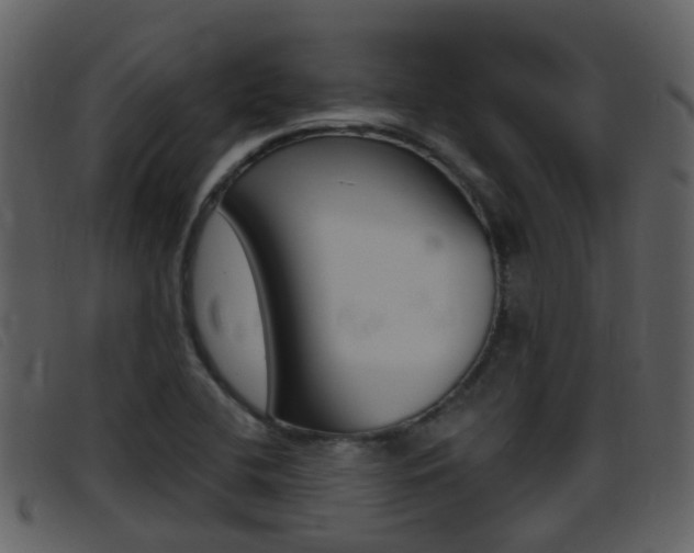 X0000096661412200802050946