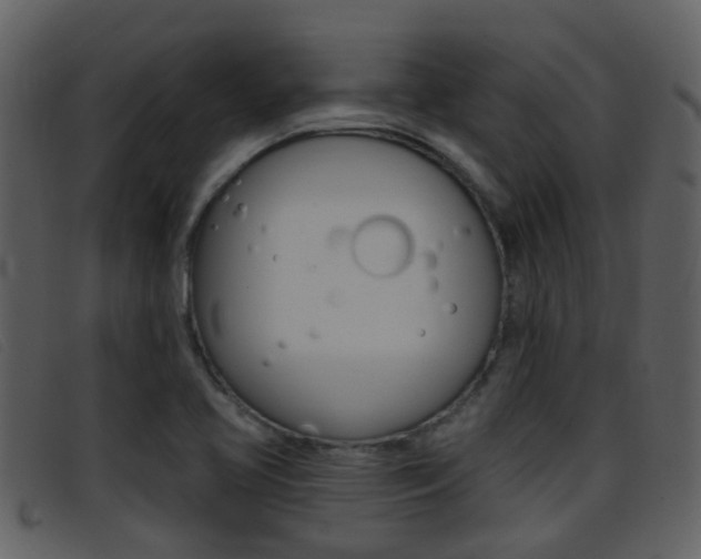 X0000096661413200802050946