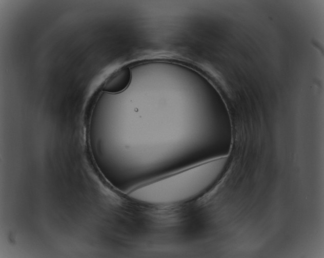X0000096661414200802050946