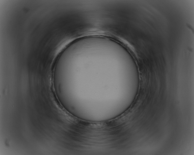 X0000096661415200802050946