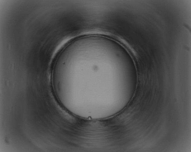 X0000096661416200802050946