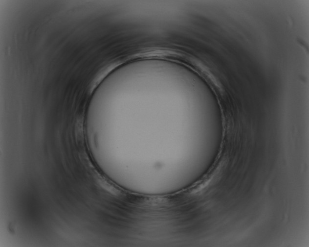 X0000096661417200802050946