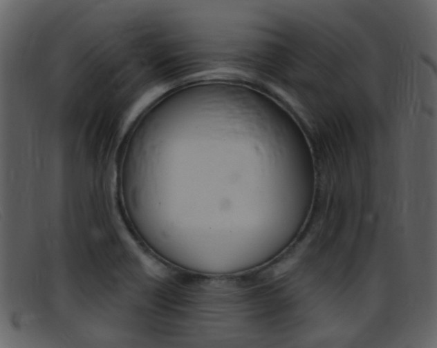 X0000096661418200802050946