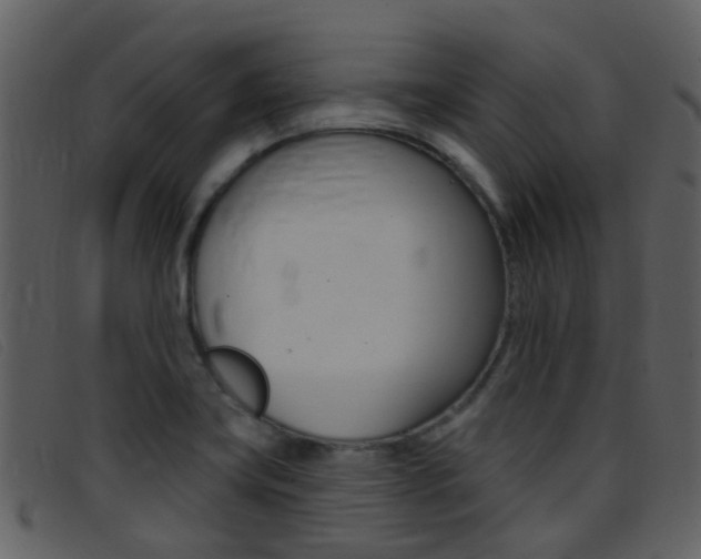 X0000096661419200802050946