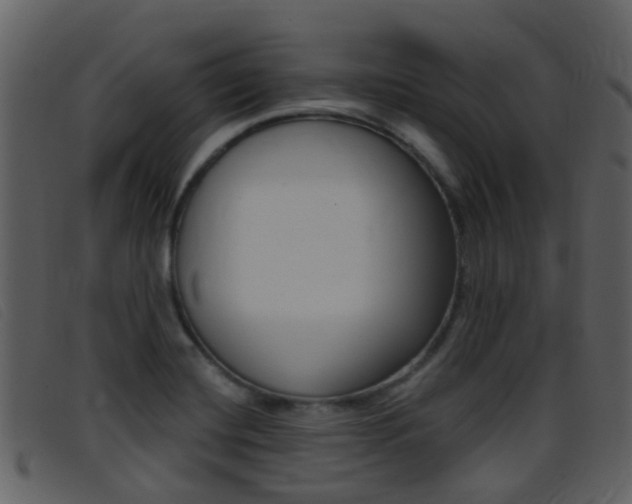 X0000096661420200802050946
