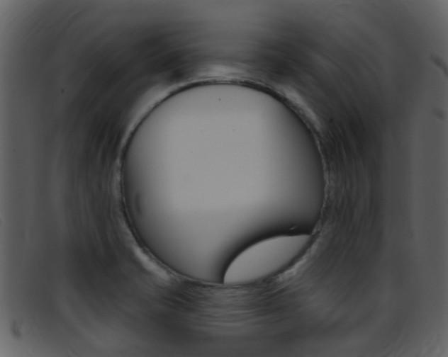 X0000096661421200802050946