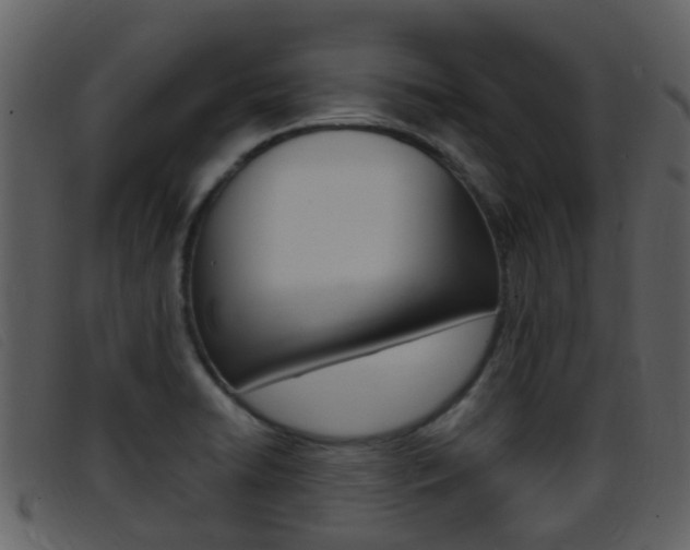 X0000096661422200802050946