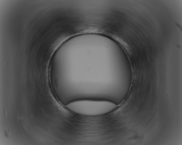 X0000096661423200802050946