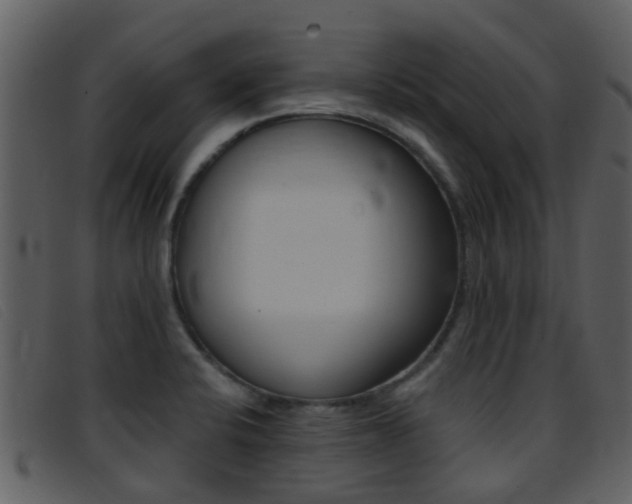 X0000096661424200802050946