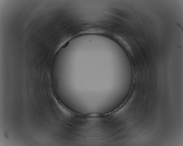 X0000096661425200802050946