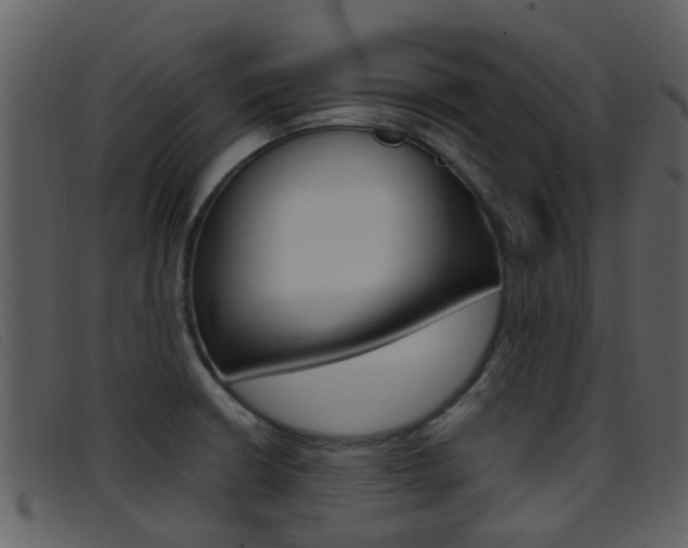 X0000096661426200802050946
