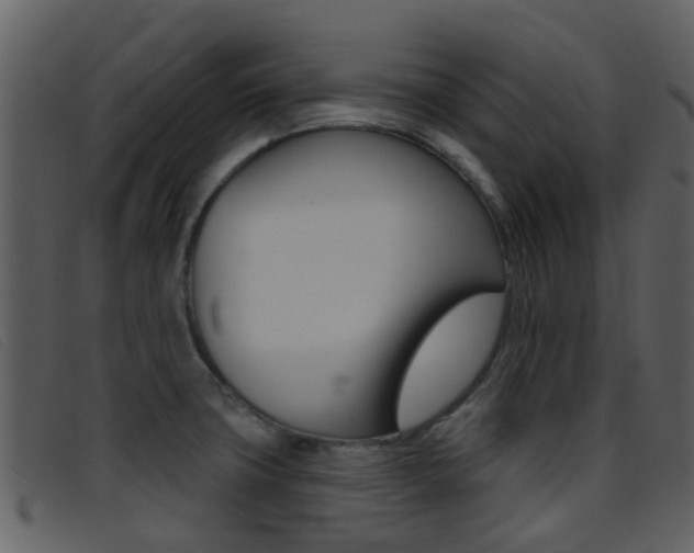 X0000096661427200802050946