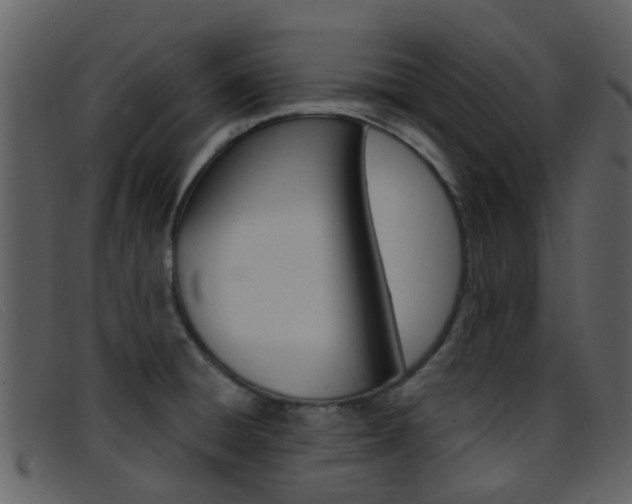 X0000096661428200802050946