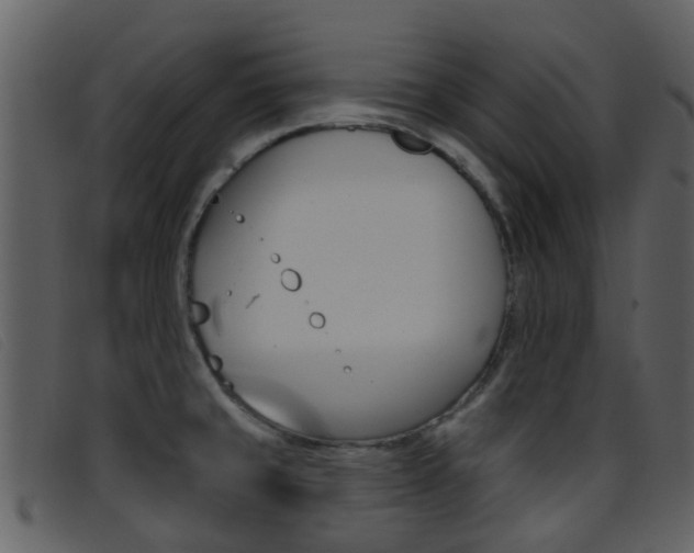 X0000096661429200802050946