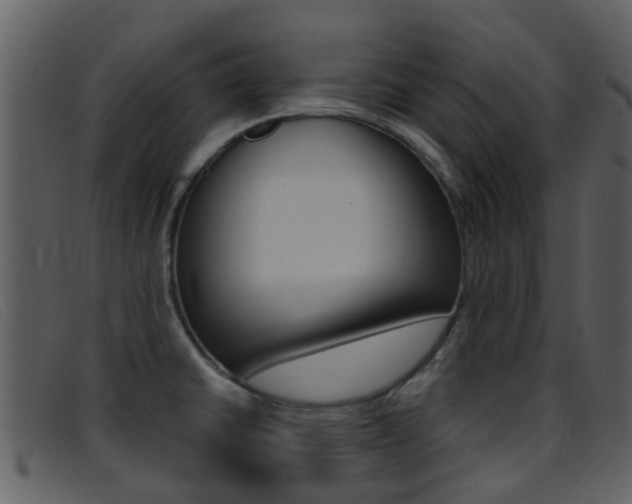 X0000096661430200802050946