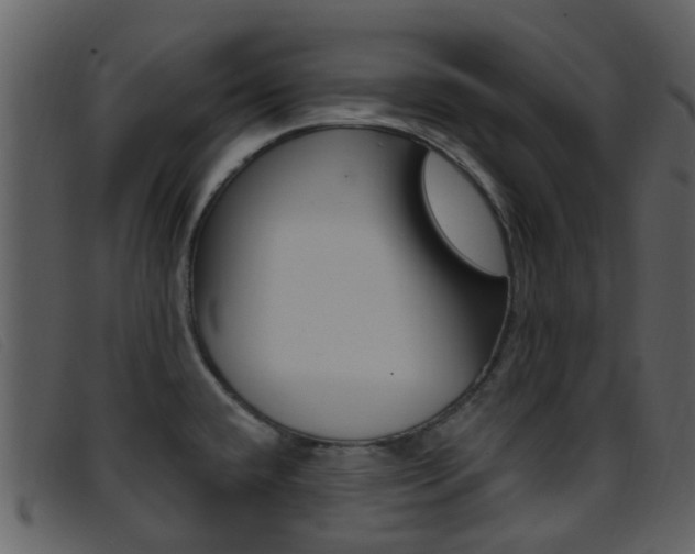 X0000096661432200802050946