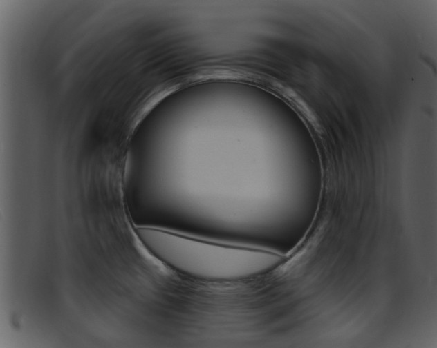 X0000096661433200802050946