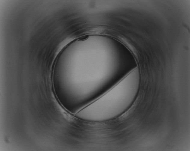 X0000096661434200802050946